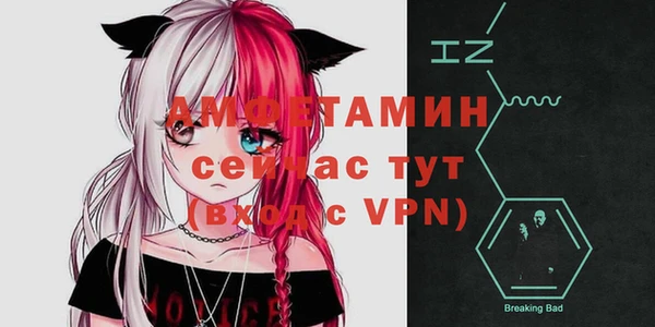 индика Снежинск