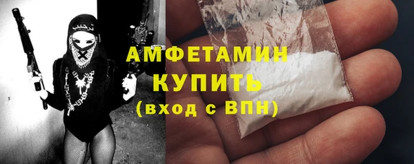 индика Снежинск