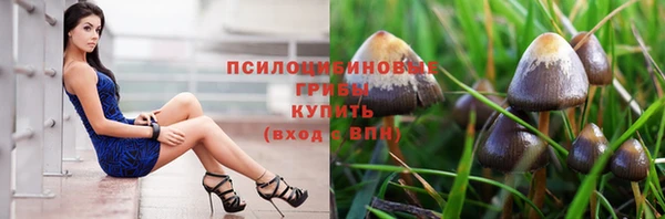 индика Снежинск
