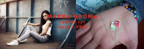 индика Снежинск