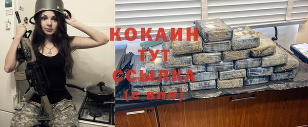 индика Снежинск