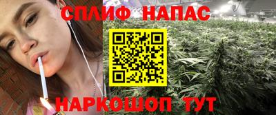 скорость Донской
