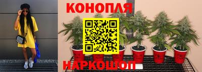 a pvp Дубна