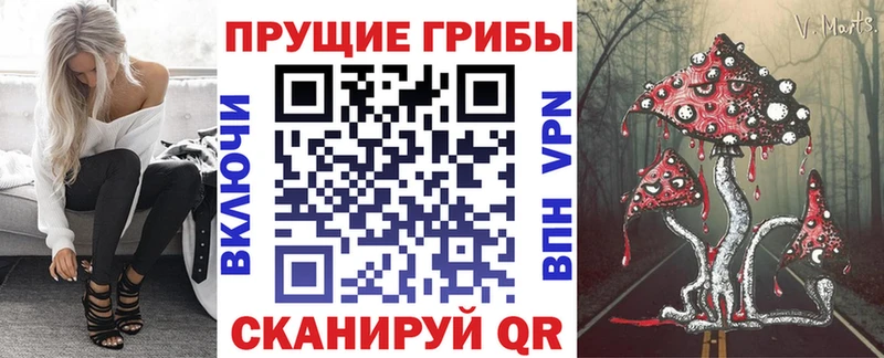 мориарти клад  Пенза  Псилоцибиновые грибы Cubensis  продажа наркотиков 