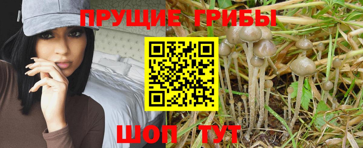 Галлюциногенные грибы ЛСД  Галлюциногенные грибы Magic Shrooms  Вход с VPN  Пенза 