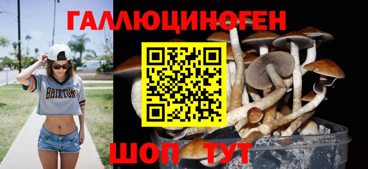 Псилоцибиновые грибы мицелий Пенза